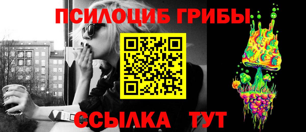 Псилоцибиновые грибы Psilocybine cubensis  Вход с VPN  Псилоцибиновые грибы прущие грибы  Магадан 